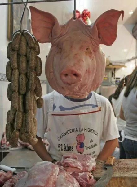 这形容准没错了猪面人身,大叔,你这有点过分了哦以地为床,以海为被,真