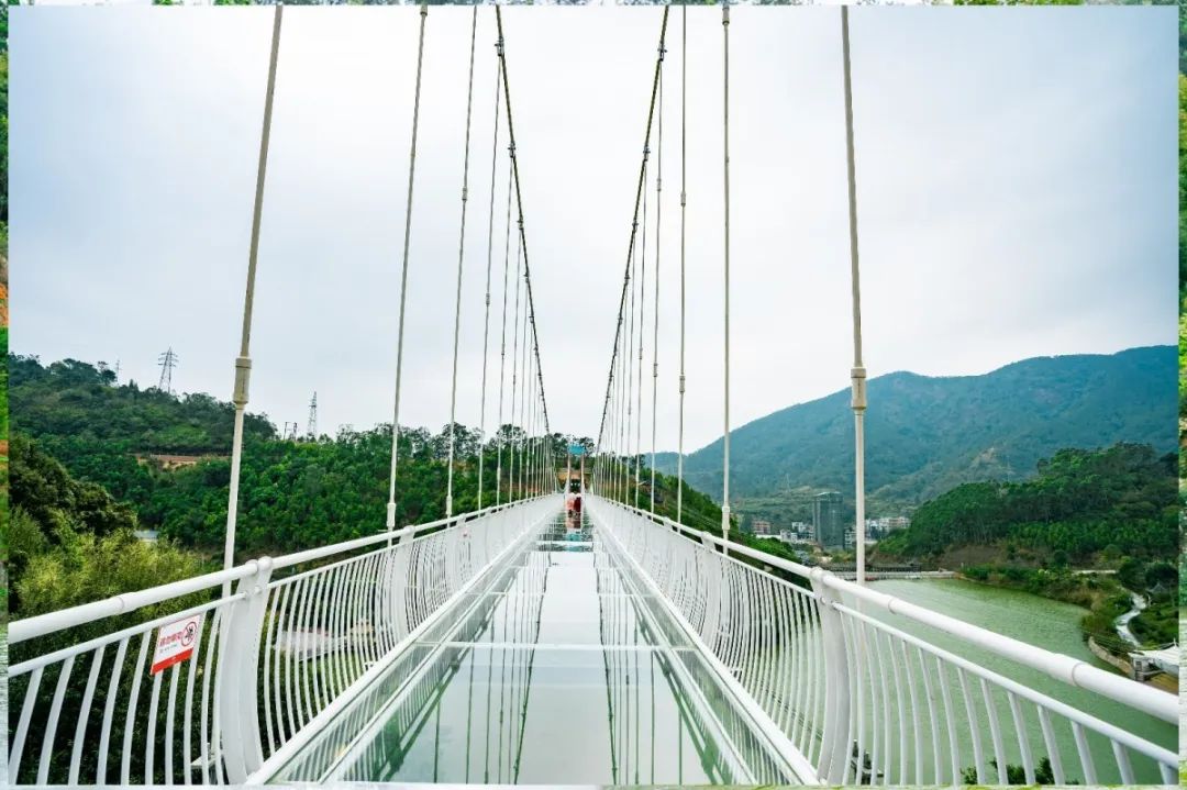 重新起航,美丽如故 | 3月14日信宜莲花湖庄园恢复对外开放营业!_旅游