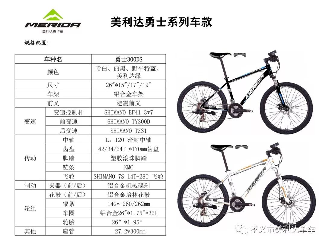 中国十大自行车品牌图片