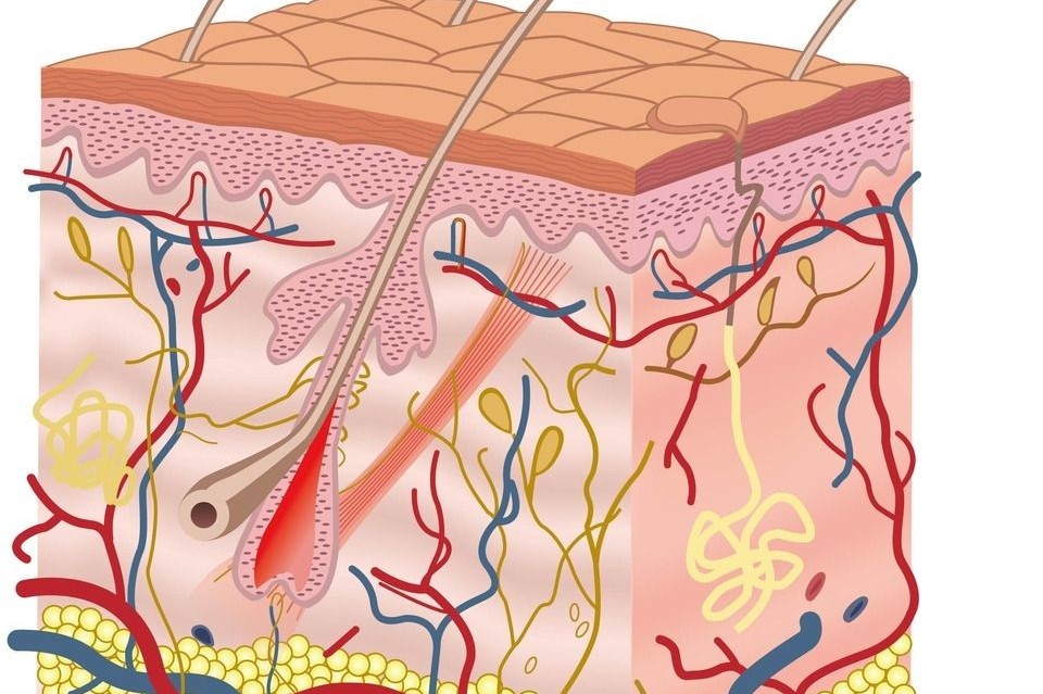 智创翼赵勤的个人展示页