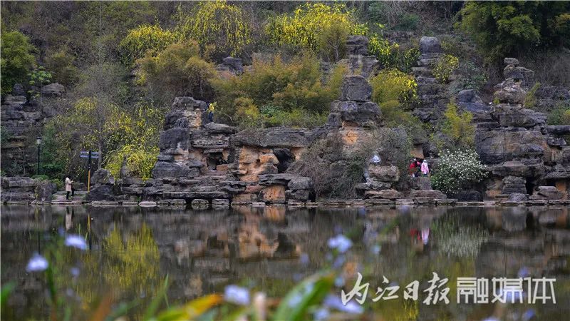 威遠這個景區已開放想耍必須有它才能進