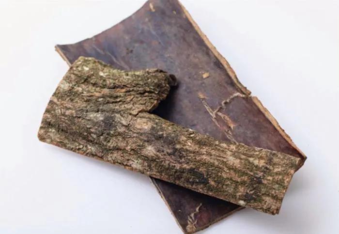 农村这树叫“杜仲”，树皮是好药材，对于补益肝肾有帮助_价值