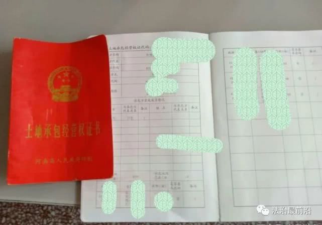 网曝河南省虞城县稍岗镇50亩青苗被毁一村民祖坟夷为平地