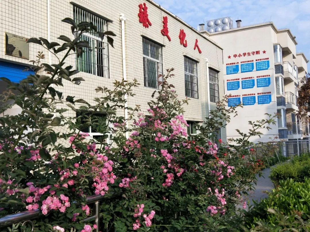 (巴州区平梁小学)(通江县龙凤小学)(通江县职业高级中学)(恩阳四小)