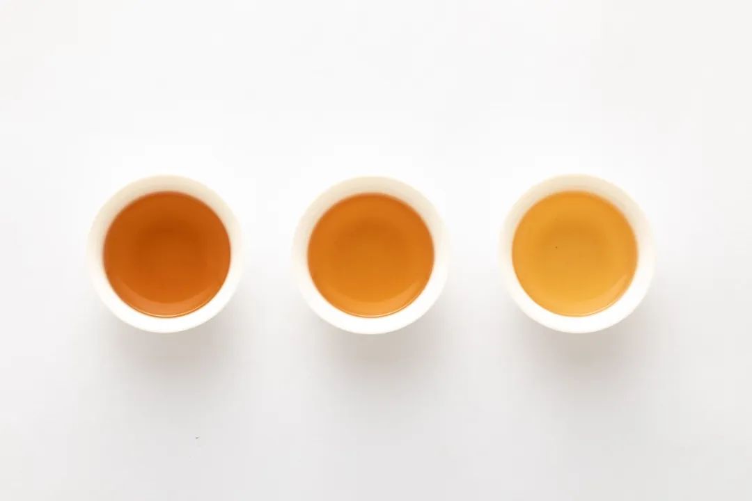 三分钟看懂乌龙茶的分类