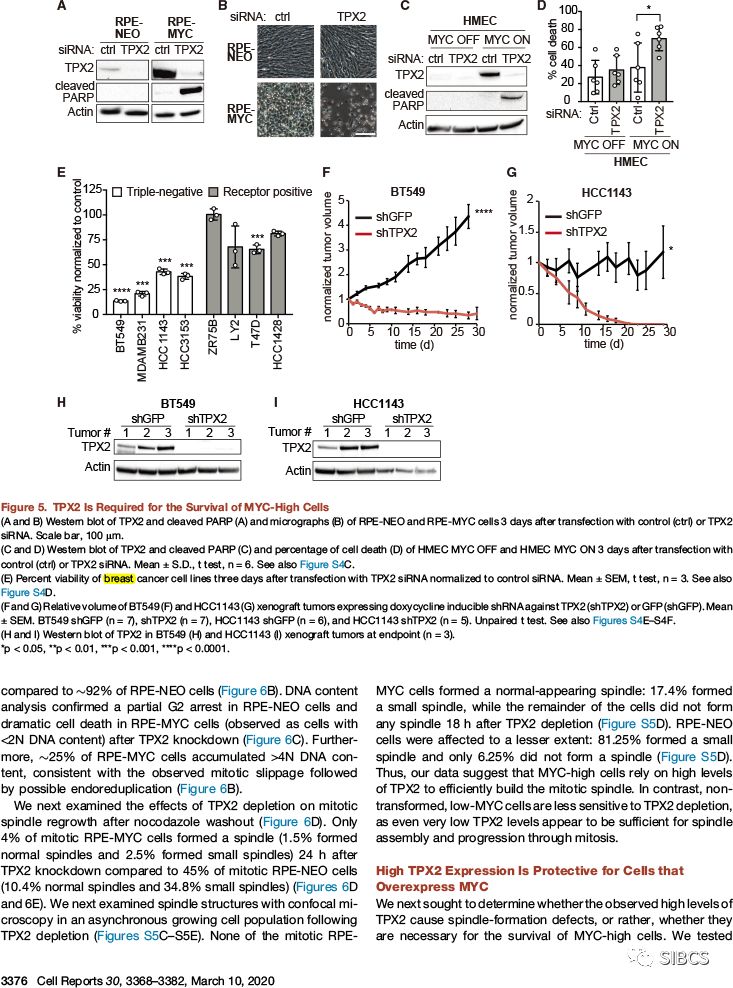 美国科学家发现三阴性乳腺癌易感基因