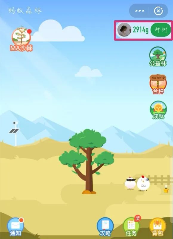 一起种树吧去蚂蚁森林赶紧打开支付宝足不出户特殊时期植树节,你好