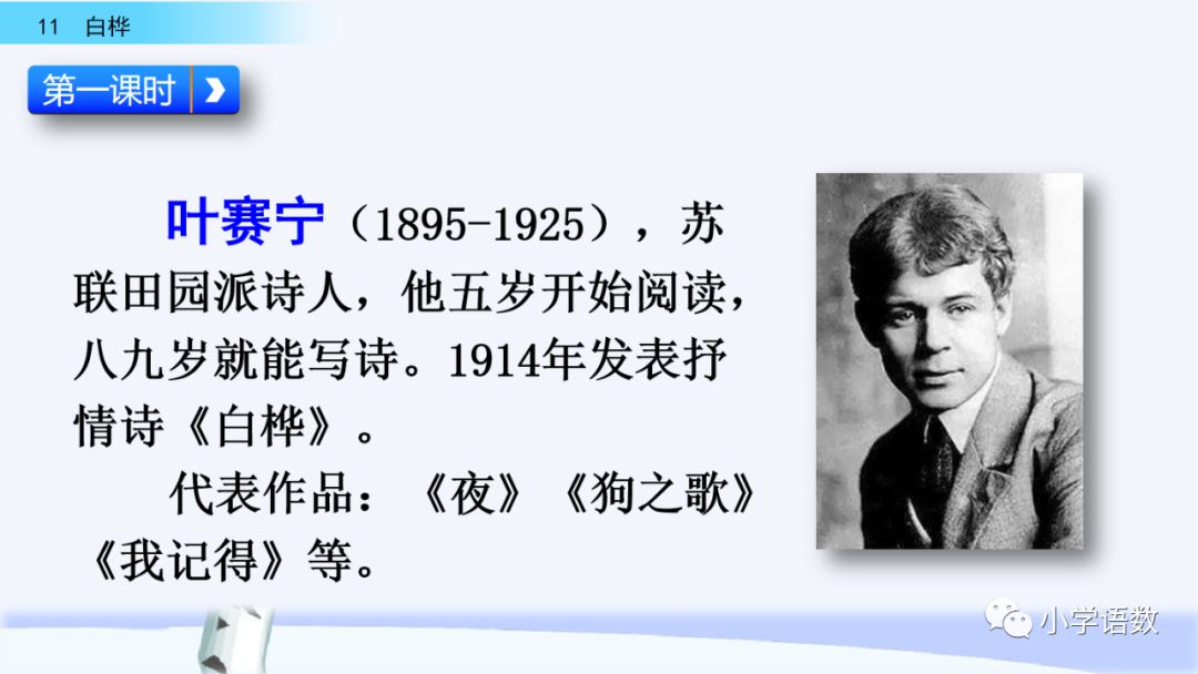 送统编版语文四年级下册三单元课文11课白桦教学视频图文讲解同步练习