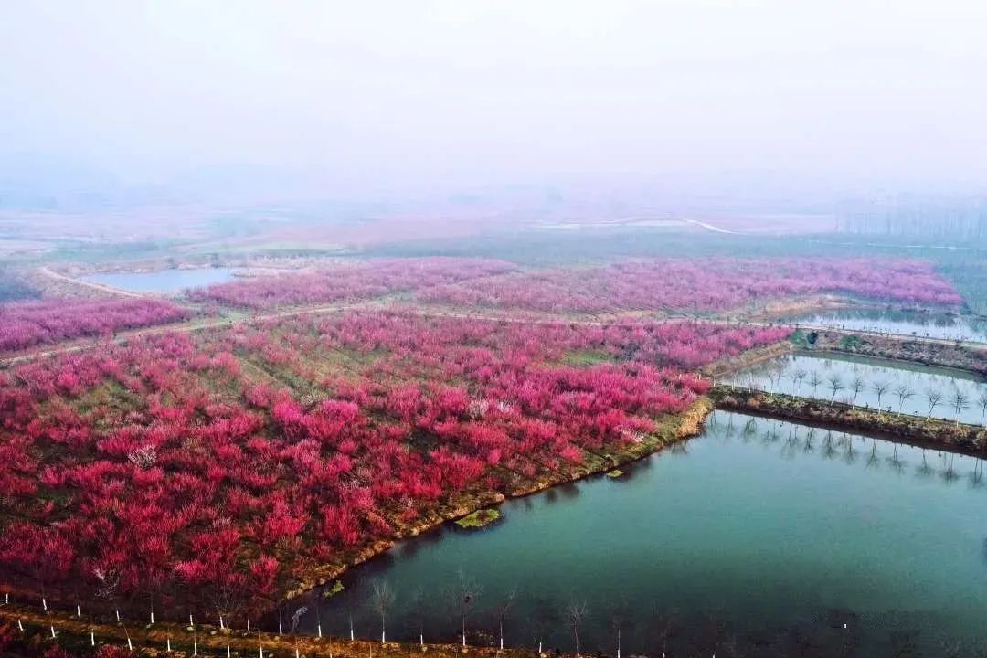 巢湖庙岗景点图片