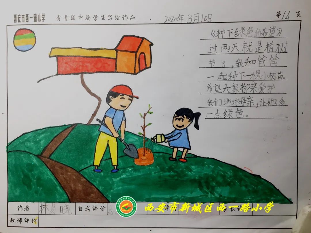 师说子乐班级show西一路小学一年级二班开展植树节主题活动