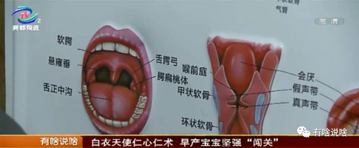 白衣天使仁心仁术早产宝宝坚强闯关