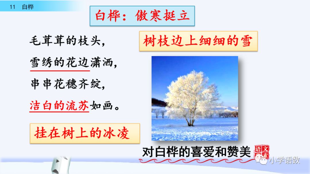 送統編版語文四年級下冊三單元課文11課白樺教學視頻圖文講解同步練習