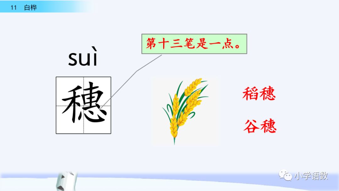 送統編版語文四年級下冊三單元課文11課白樺教學視頻圖文講解同步練習