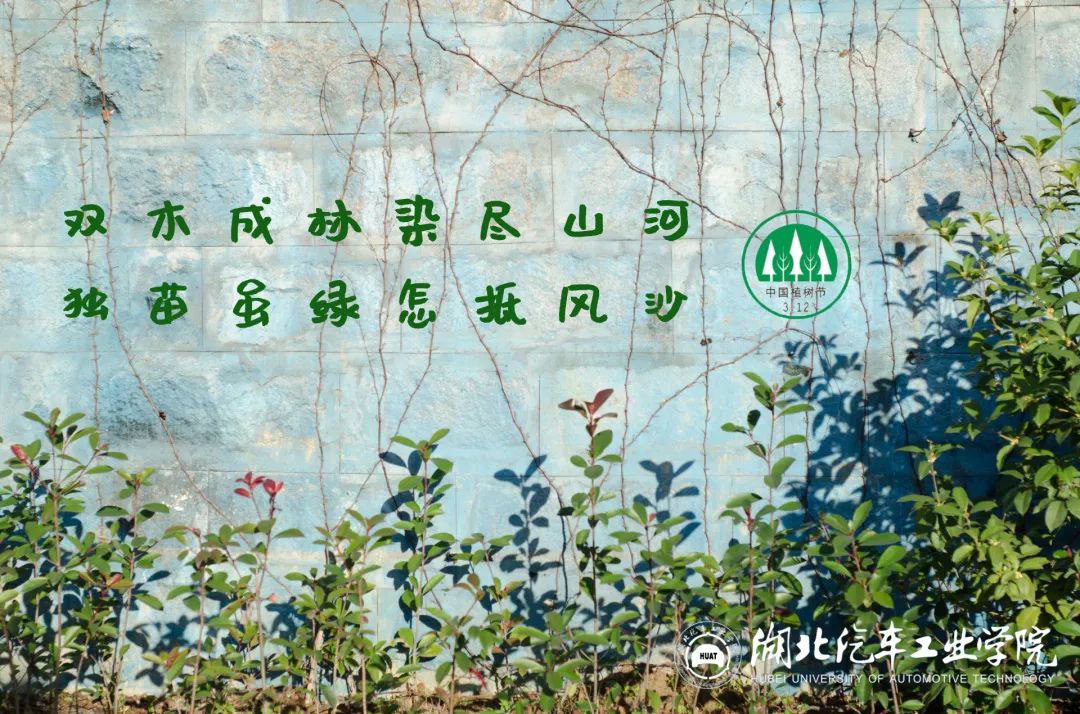 植树节双木成林染尽山河