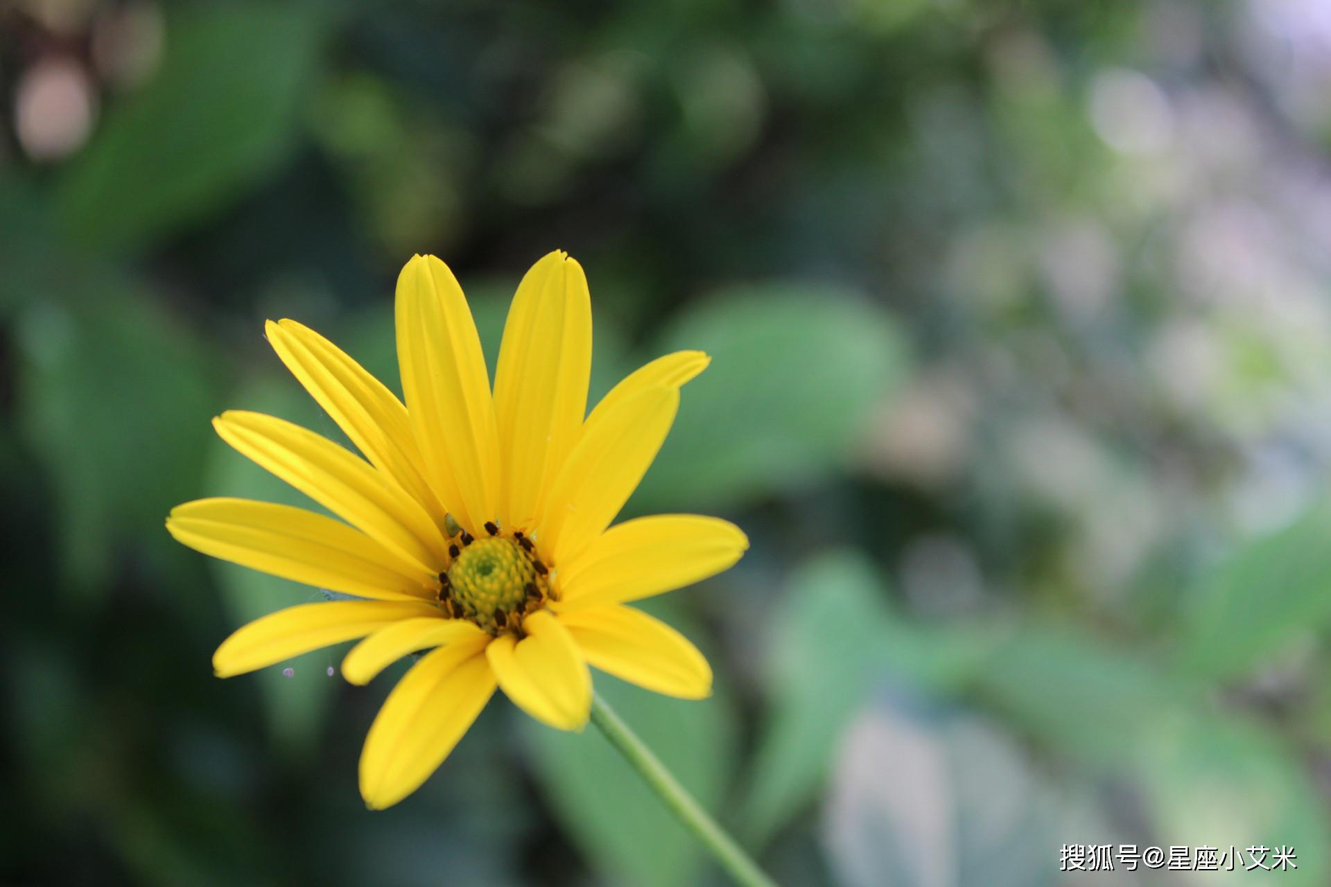 3月13號開始 有貴人相助 大富大貴 吃喝不愁的4生肖 朋友 每日要聞