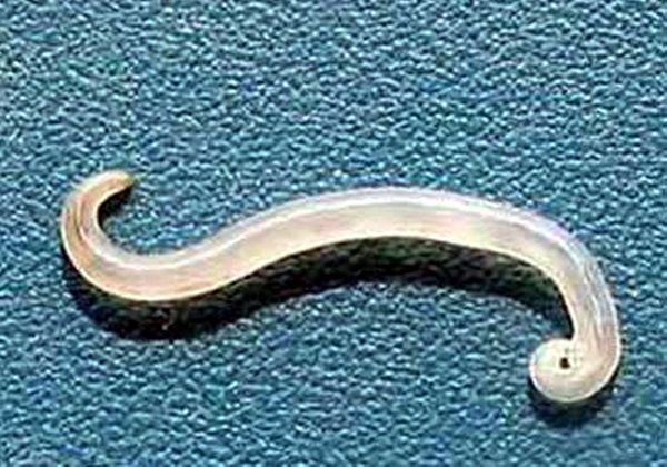 3岁儿子总是偷偷掏裆带去医院检查后原因让爸爸羞愧