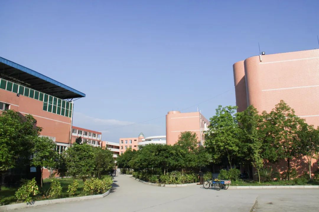 特殊的植树节一起来云赏眉山校园美景