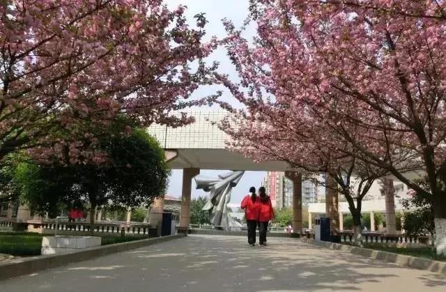 成都市大彎中學(xué)圓夢(mèng)班”開(kāi)始報(bào)名啦(圖6)