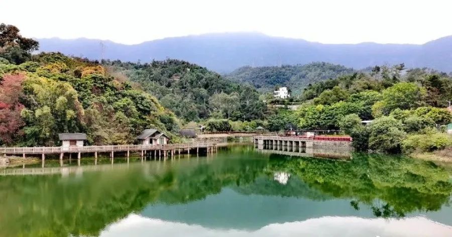 植树节双龙潭景区在行动一起种下绿色希望吧