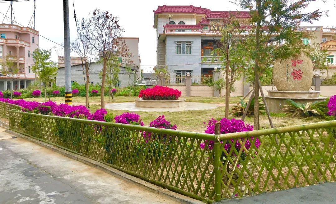 鸿山镇邱下村最美庭院明星榜开始征集评选啦