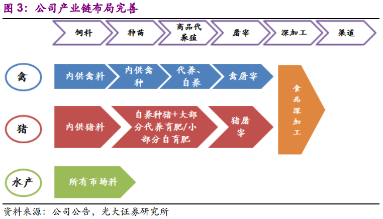 (新希望产业链布局 来源:光大证券)