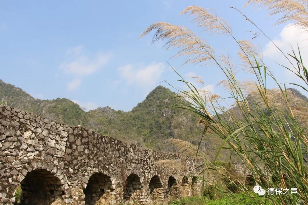 足荣镇:百花闹春 传递希望_德保