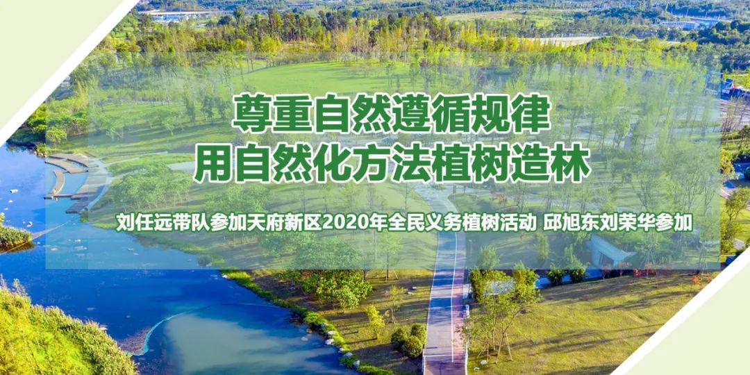 尊重自然遵循规律用自然化方法植树造林