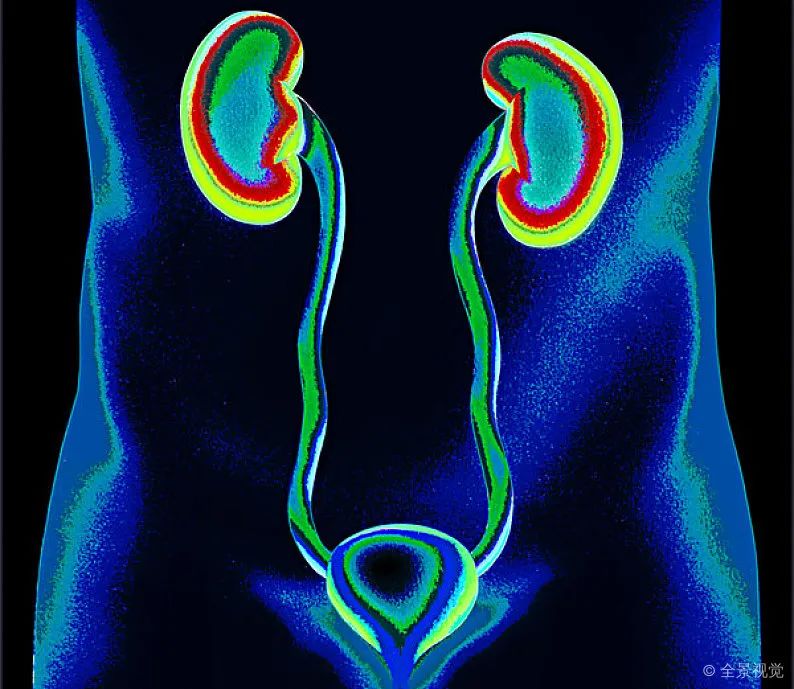 世界腎臟日我國慢性腎臟病高發這10個早期症狀要警惕