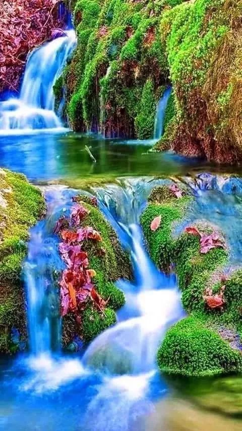 高山流水沁润心田