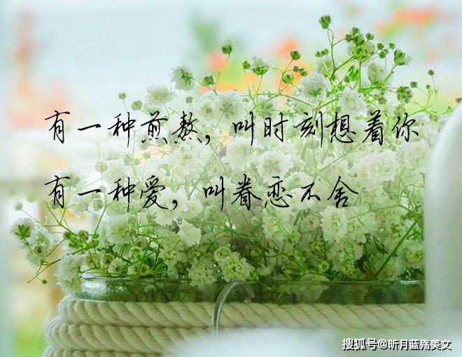 原创忍住了不联系却忍不住牵挂远方的你