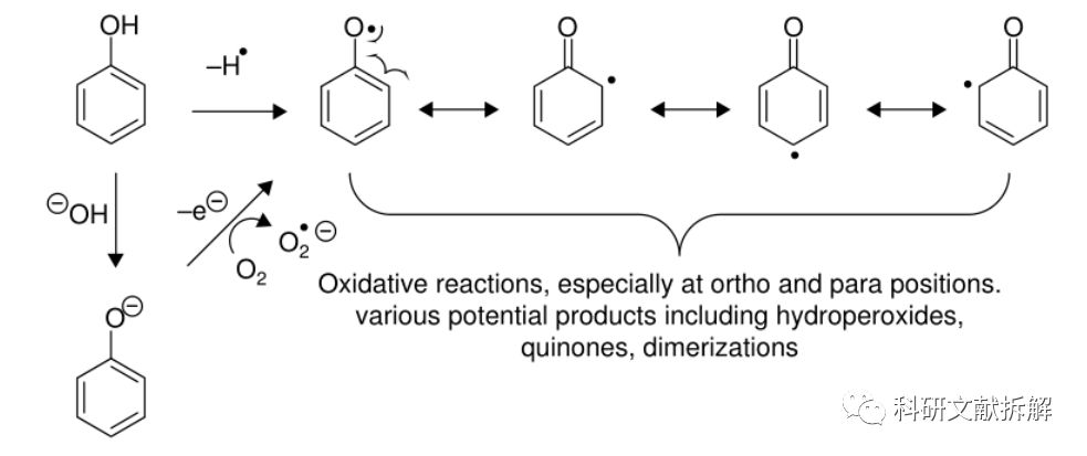 导致苯环容易被氧化;一,氧化苯酚药物api中的羟基和丁二酸成酯酸性