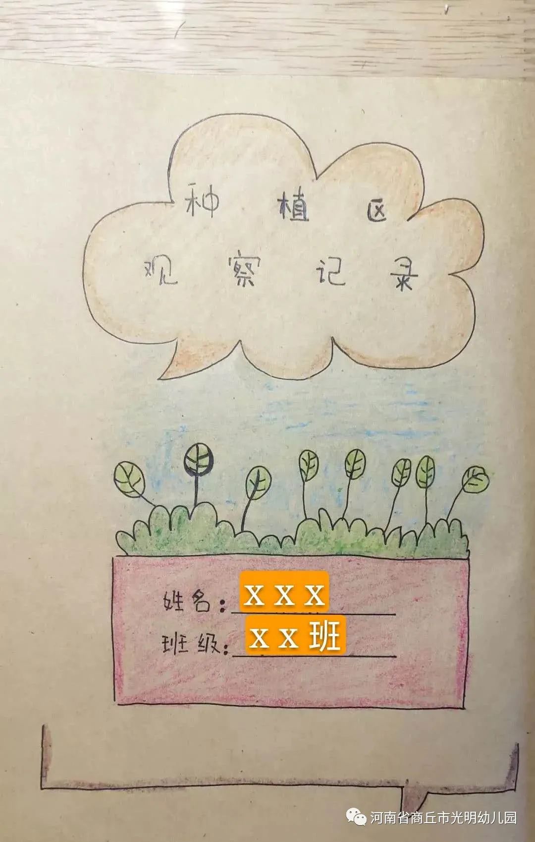 幼儿园植树节活动创意 | 种下一粒种子,等待春暖花开_种植