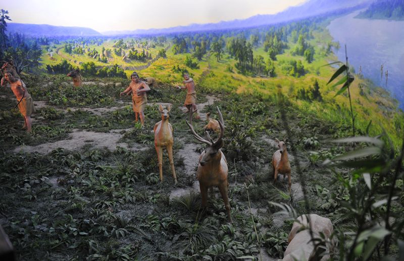 我就是那个烧制人面鱼纹盆的半坡人,和你们聊聊我们那个时代.