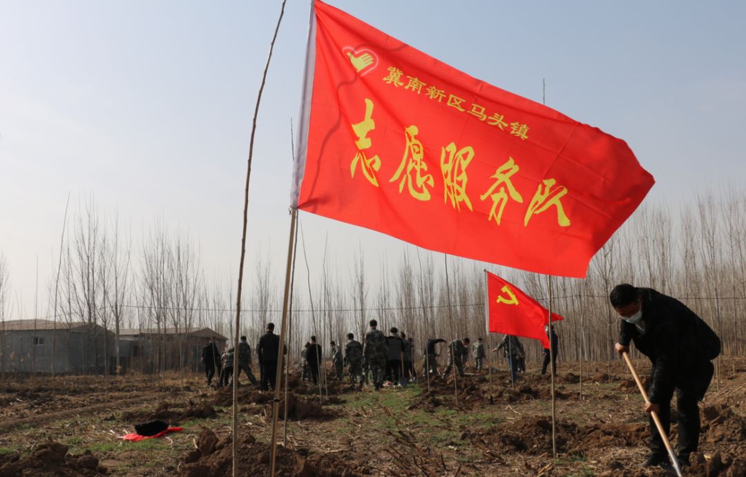 植树节丨一年植计在于春