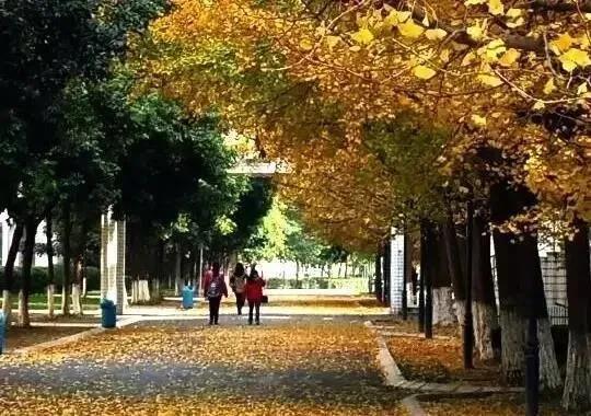 成都市大彎中學(xué)圓夢(mèng)班”開(kāi)始報(bào)名啦(圖4)