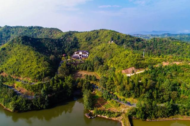 植树月植树邀您与枫溪谷一同守护2000亩森林