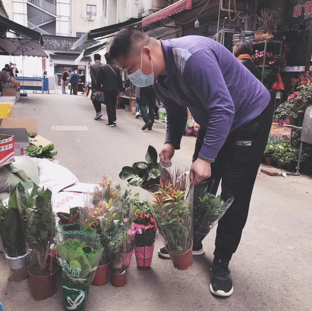 今天,皮市街花鳥市場也開了_蘇州