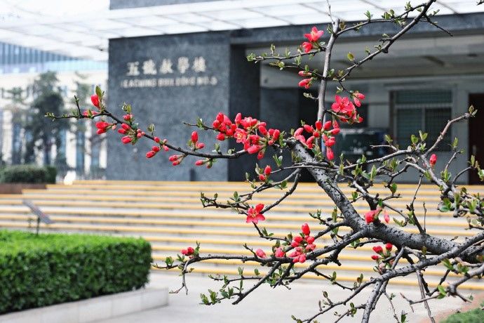 花開西安財經大學花開西安醫學院花開榆林學院花開西安歐亞學院注