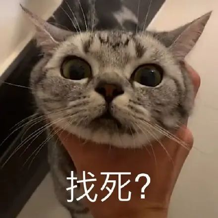 猛男表情包|生氣,完全生氣!_閃萌