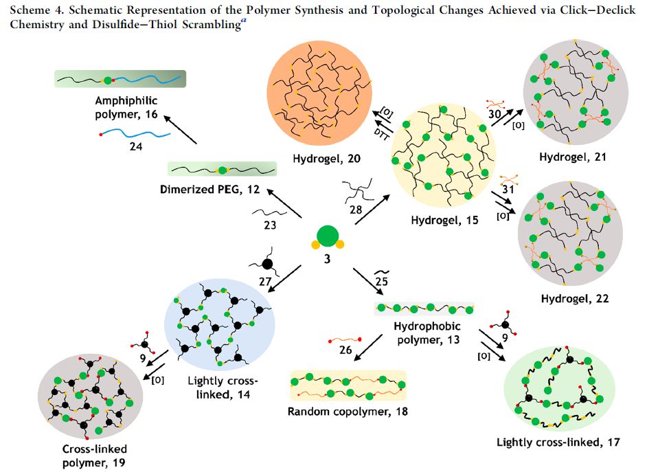 物和水凝胶基体都是在常温中性条件下通过简单地添加新的单体,交联剂