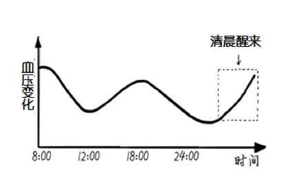 血压曲线图24小时图片
