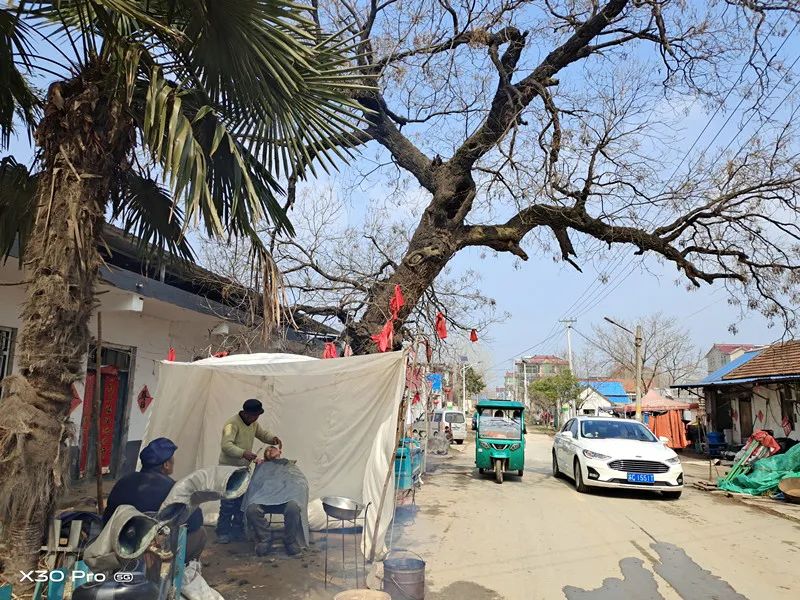 河北枣强实则在今邳州市岔河镇良璧村河北枣强移民探源