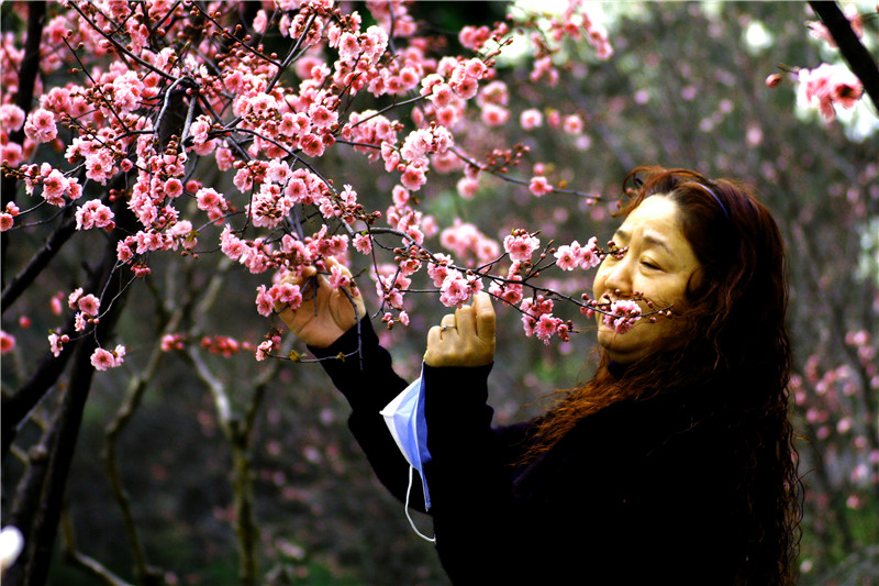 春意盎然西安兴庆湖畔市民踏春赏花寻找一片心灵的净土