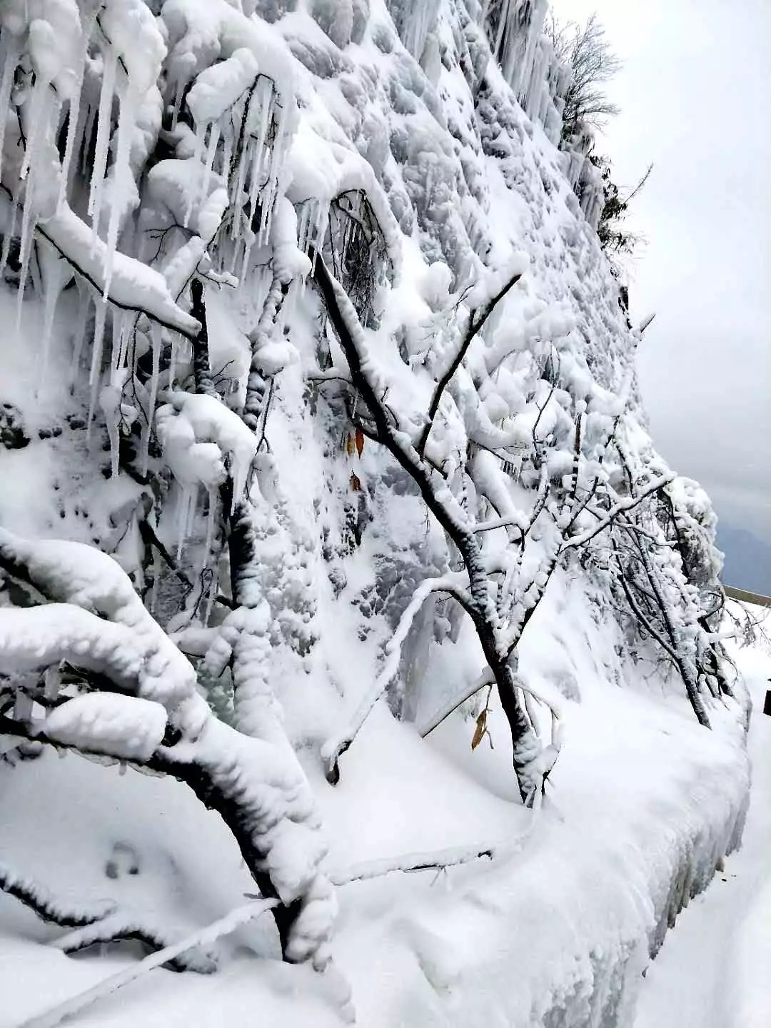 八台山今日突降大雪这里再次呈现一幅冰雪盛景