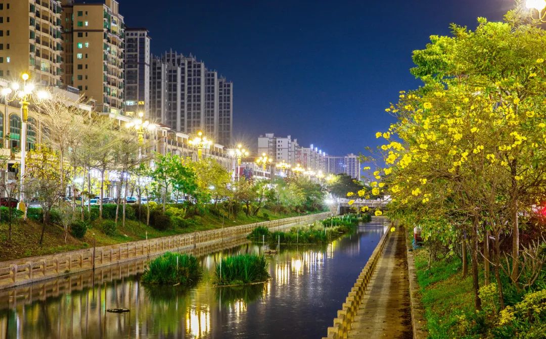 博罗的春天已悄然而至看大美石湾满城花海美如画