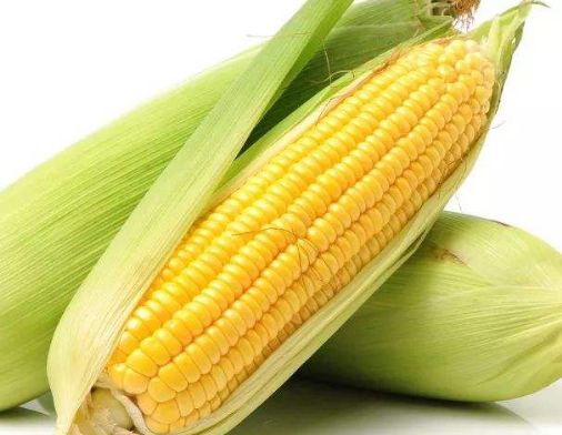 早餐煮个玉米吃,不但营养健康,身体还能发生4个变化