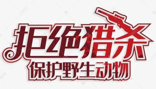 凉山这里捕获一起猎杀珍贵濒危野生动物案的犯罪嫌疑人!
