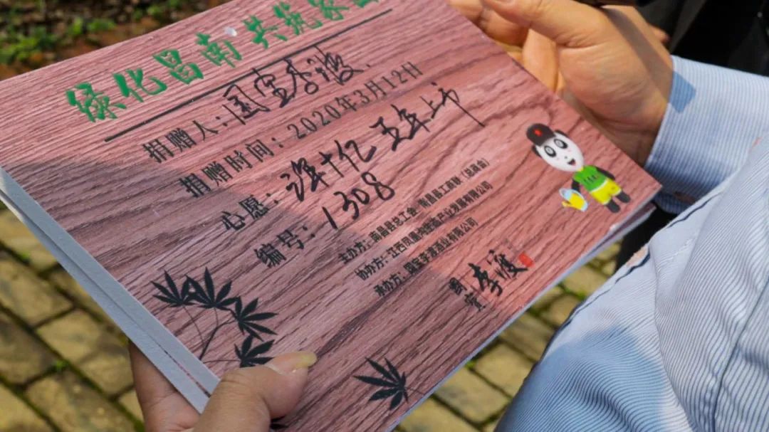 1公分红枫树苗价格是多少