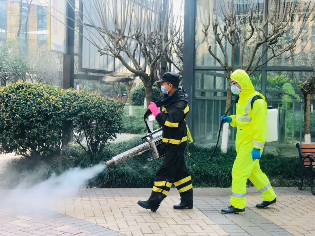 柳州家禽养殖业：从传统到现代化的转变