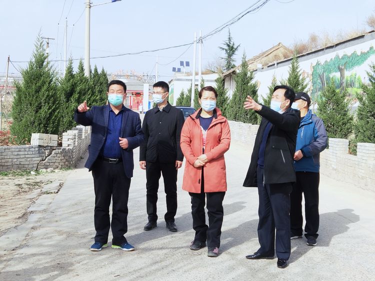 合阳县人民政府副县长王改来坊镇渤海社区督导乡村振兴工作